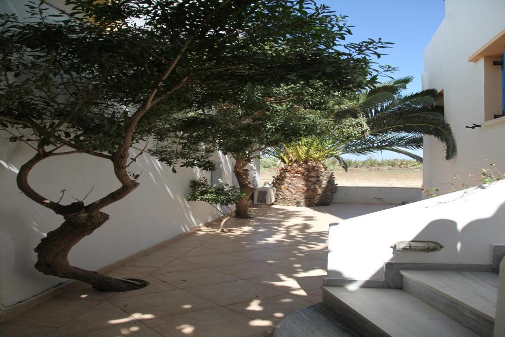 Polemis Studios & Apartments Agia Anna  Chambre photo